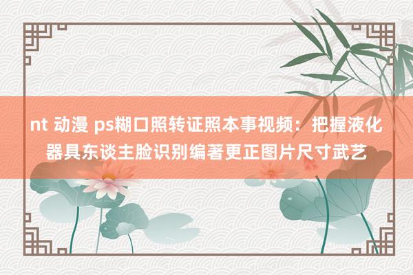 nt 动漫 ps糊口照转证照本事视频：把握液化器具东谈主脸识别编著更正图片尺寸武艺