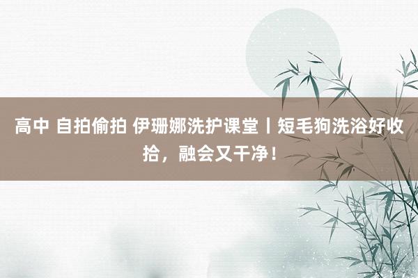 高中 自拍偷拍 伊珊娜洗护课堂丨短毛狗洗浴好收拾，融会又干净！