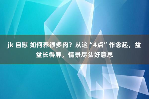 jk 自慰 如何养很多肉？从这“4点”作念起，盆盆长得胖，情景尽头好意思