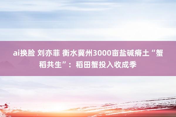 ai换脸 刘亦菲 衡水冀州3000亩盐碱瘠土“蟹稻共生”：稻田蟹投入收成季