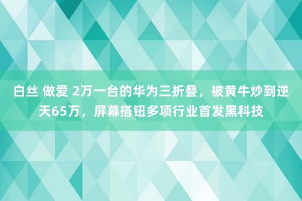 白丝 做爱 2万一台的华为三折叠，被黄牛炒到逆天65万，屏幕搭钮多项行业首发黑科技