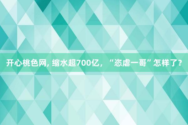 开心桃色网， 缩水超700亿，“恣虐一哥”怎样了？