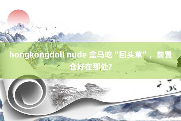 hongkongdoll nude 盒马吃“回头草”，前置仓好在那处?