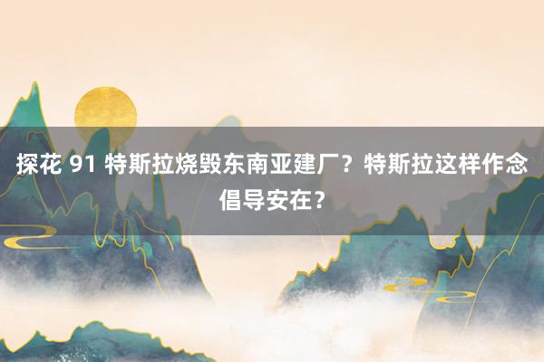 探花 91 特斯拉烧毁东南亚建厂？特斯拉这样作念倡导安在？