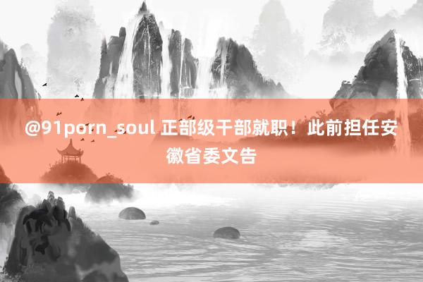 @91porn_soul 正部级干部就职！此前担任安徽省委文告