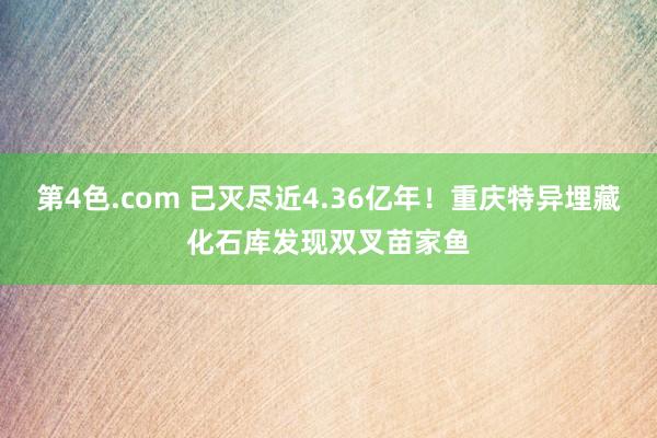 第4色.com 已灭尽近4.36亿年！重庆特异埋藏化石库发现双叉苗家鱼