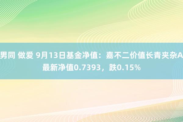 男同 做爱 9月13日基金净值：嘉不二价值长青夹杂A最新净值0.7393，跌0.15%