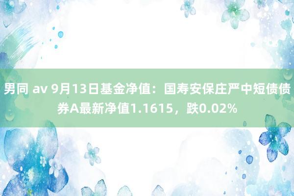 男同 av 9月13日基金净值：国寿安保庄严中短债债券A最新净值1.1615，跌0.02%