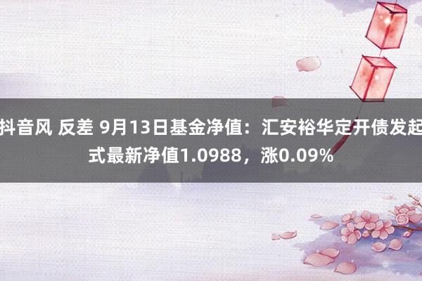 抖音风 反差 9月13日基金净值：汇安裕华定开债发起式最新净值1.0988，涨0.09%