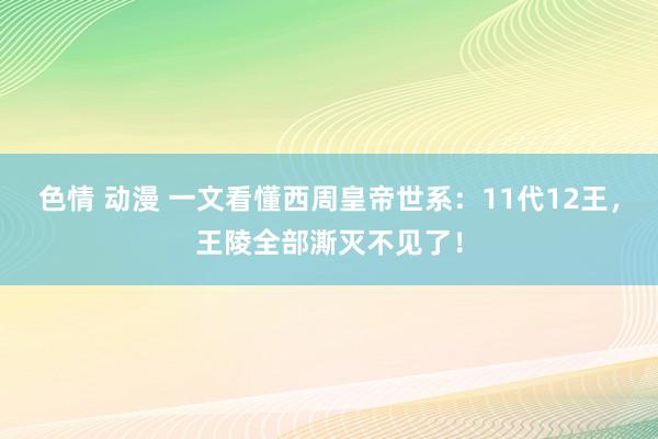 色情 动漫 一文看懂西周皇帝世系：11代12王，王陵全部澌灭不见了！