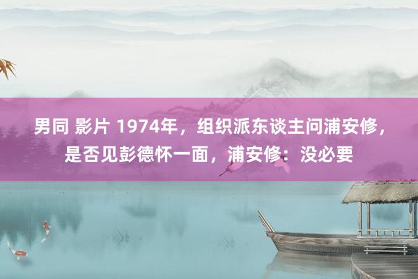 男同 影片 1974年，组织派东谈主问浦安修，是否见彭德怀一面，浦安修：没必要