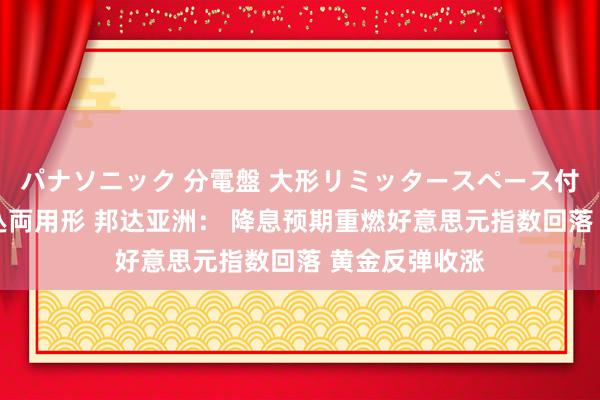 パナソニック 分電盤 大形リミッタースペース付 露出・半埋込両用形 邦达亚洲： 降息预期重燃好意思元指数回落 黄金反弹收涨