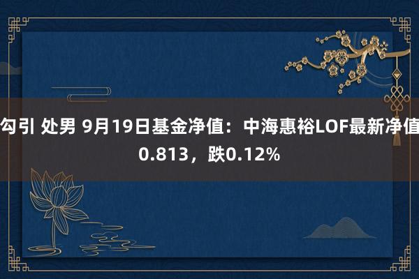 勾引 处男 9月19日基金净值：中海惠裕LOF最新净值0.813，跌0.12%