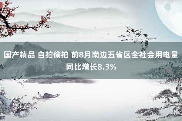 国产精品 自拍偷拍 前8月南边五省区全社会用电量同比增长8.3%