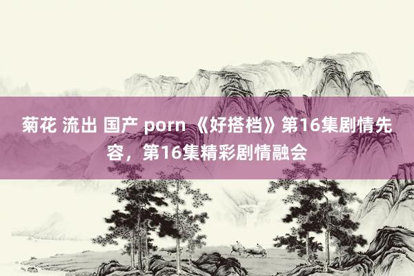 菊花 流出 国产 porn 《好搭档》第16集剧情先容，第16集精彩剧情融会