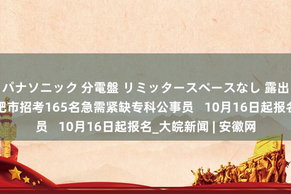 パナソニック 分電盤 リミッタースペースなし 露出・半埋込両用形 合肥市招考165名急需紧缺专科公事员   10月16日起报名_大皖新闻 | 安徽网