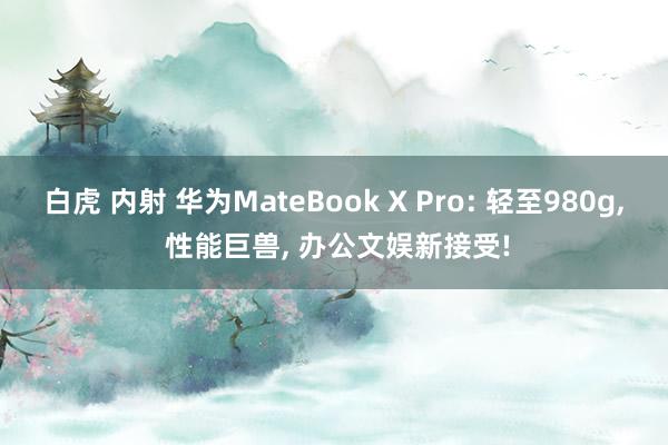 白虎 内射 华为MateBook X Pro: 轻至980g， 性能巨兽， 办公文娱新接受!