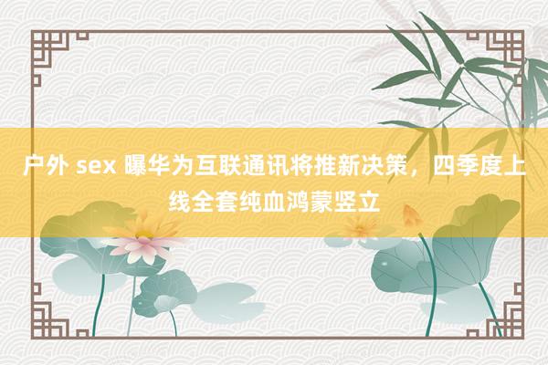 户外 sex 曝华为互联通讯将推新决策，四季度上线全套纯血鸿蒙竖立