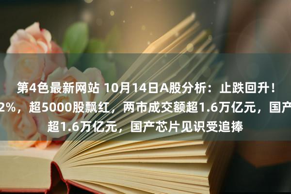 第4色最新网站 10月14日A股分析：止跌回升！三大指数均涨超2%，超5000股飘红，两市成交额超1.6万亿元，国产芯片见识受追捧