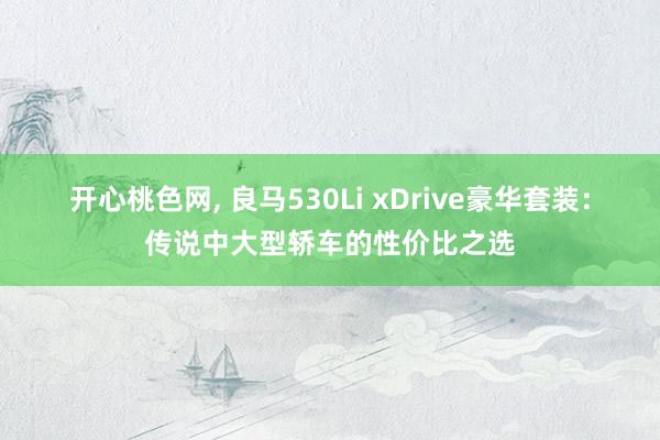 开心桃色网， 良马530Li xDrive豪华套装：传说中大型轿车的性价比之选