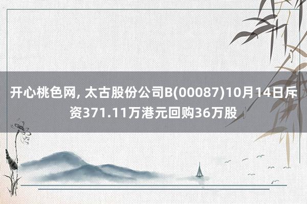 开心桃色网， 太古股份公司B(00087)10月14日斥资371.11万港元回购36万股