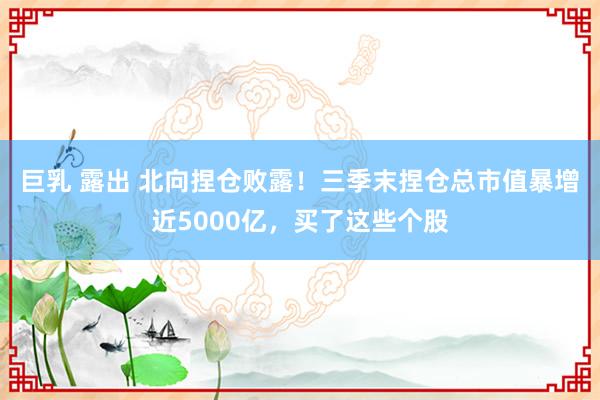 巨乳 露出 北向捏仓败露！三季末捏仓总市值暴增近5000亿，买了这些个股