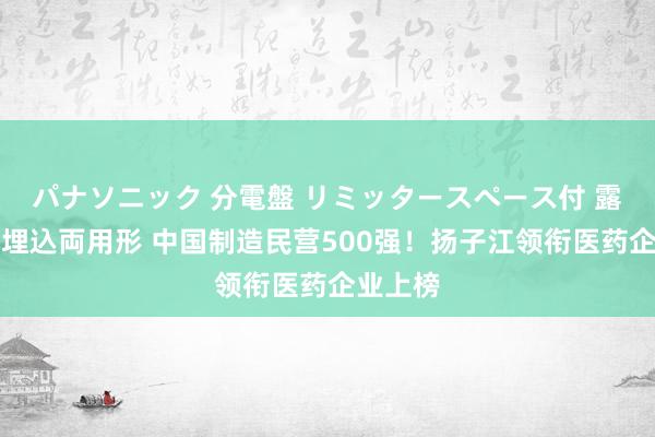 パナソニック 分電盤 リミッタースペース付 露出・半埋込両用形 中国制造民营500强！扬子江领衔医药企业上榜