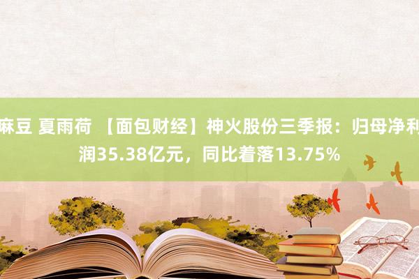 麻豆 夏雨荷 【面包财经】神火股份三季报：归母净利润35.38亿元，同比着落13.75%