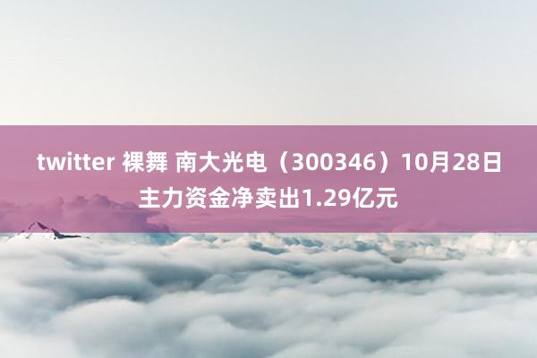 twitter 裸舞 南大光电（300346）10月28日主力资金净卖出1.29亿元