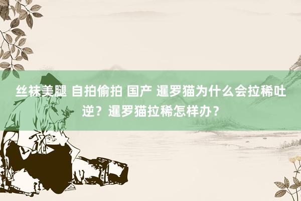 丝袜美腿 自拍偷拍 国产 暹罗猫为什么会拉稀吐逆？暹罗猫拉稀怎样办？