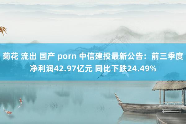 菊花 流出 国产 porn 中信建投最新公告：前三季度净利润42.97亿元 同比下跌24.49%