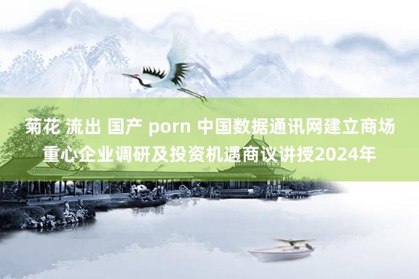 菊花 流出 国产 porn 中国数据通讯网建立商场重心企业调研及投资机遇商议讲授2024年