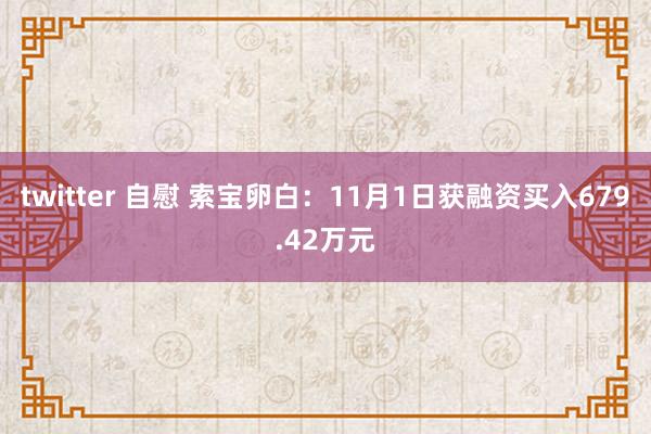 twitter 自慰 索宝卵白：11月1日获融资买入679.42万元