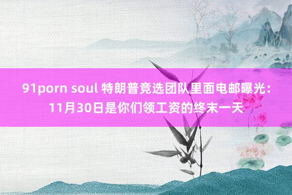 91porn soul 特朗普竞选团队里面电邮曝光：11月30日是你们领工资的终末一天