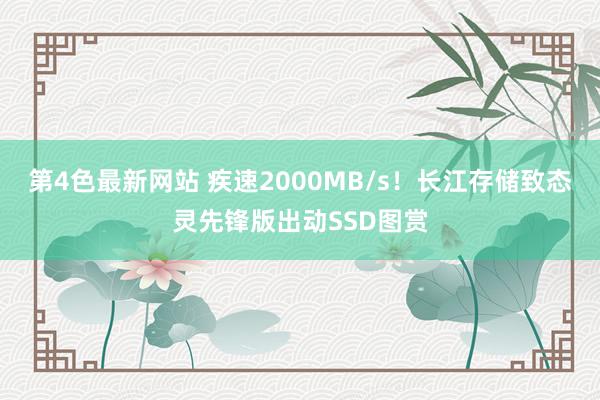 第4色最新网站 疾速2000MB/s！长江存储致态灵先锋版出动SSD图赏