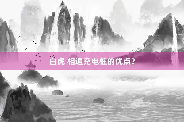 白虎 相通充电桩的优点？