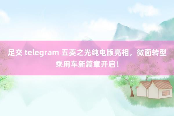 足交 telegram 五菱之光纯电版亮相，微面转型乘用车新篇章开启！