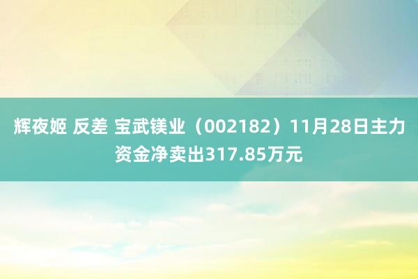 辉夜姬 反差 宝武镁业（002182）11月28日主力资金净卖出317.85万元