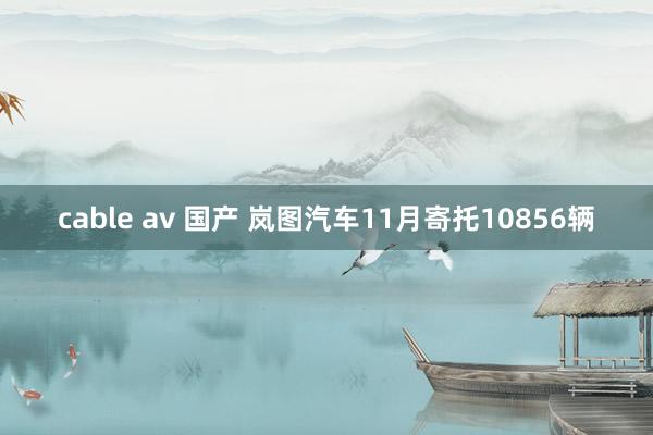 cable av 国产 岚图汽车11月寄托10856辆