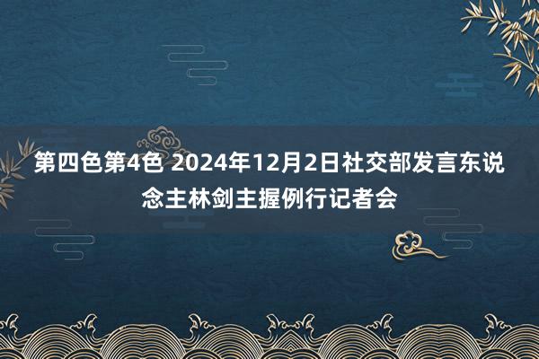 第四色第4色 2024年12月2日社交部发言东说念主林剑主握例行记者会