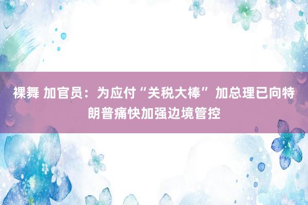 裸舞 加官员：为应付“关税大棒” 加总理已向特朗普痛快加强边境管控