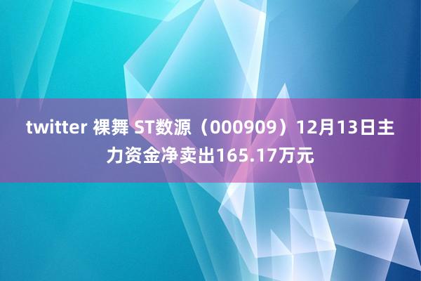 twitter 裸舞 ST数源（000909）12月13日主力资金净卖出165.17万元