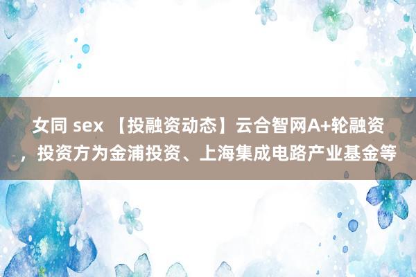 女同 sex 【投融资动态】云合智网A+轮融资，投资方为金浦投资、上海集成电路产业基金等