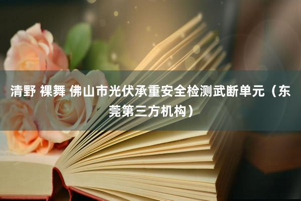 清野 裸舞 佛山市光伏承重安全检测武断单元（东莞第三方机构）