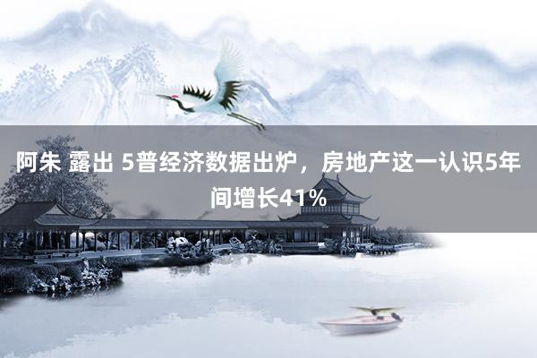 阿朱 露出 5普经济数据出炉，房地产这一认识5年间增长41%