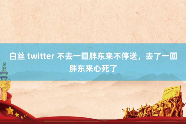 白丝 twitter 不去一回胖东来不停送，去了一回胖东来心死了