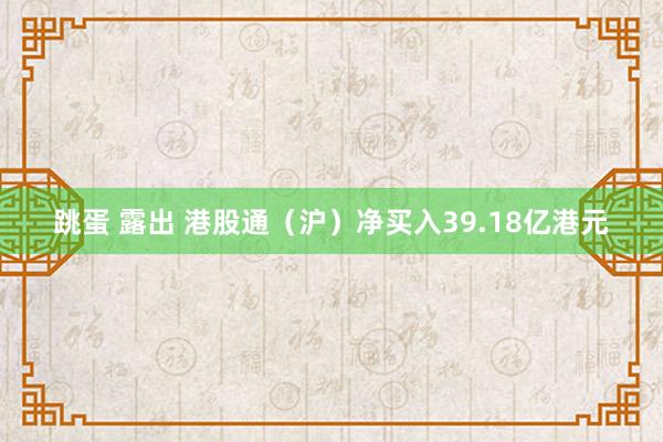 跳蛋 露出 港股通（沪）净买入39.18亿港元