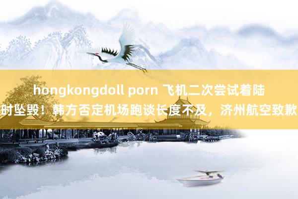 hongkongdoll porn 飞机二次尝试着陆时坠毁！韩方否定机场跑谈长度不及，济州航空致歉