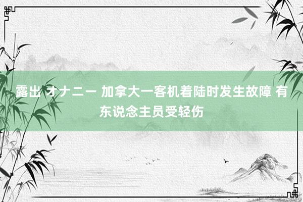 露出 オナニー 加拿大一客机着陆时发生故障 有东说念主员受轻伤