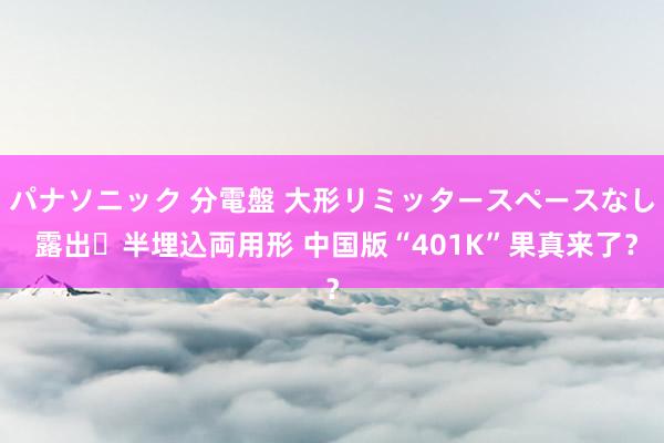 パナソニック 分電盤 大形リミッタースペースなし 露出・半埋込両用形 中国版“401K”果真来了？